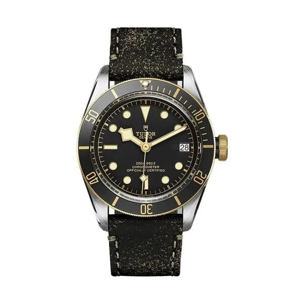 Tudor Black Bay S&G