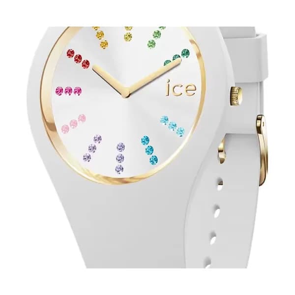 Ice Watch Montre Ice-Watch - 021342
