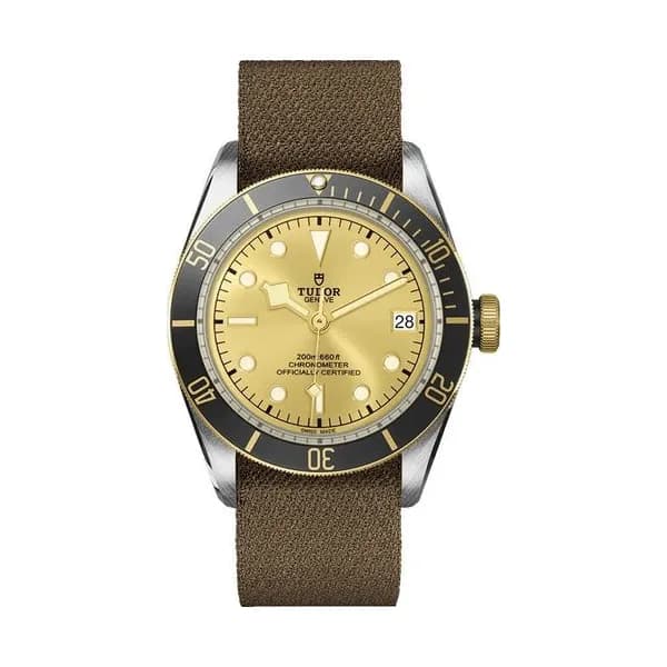 Tudor Black Bay S&G