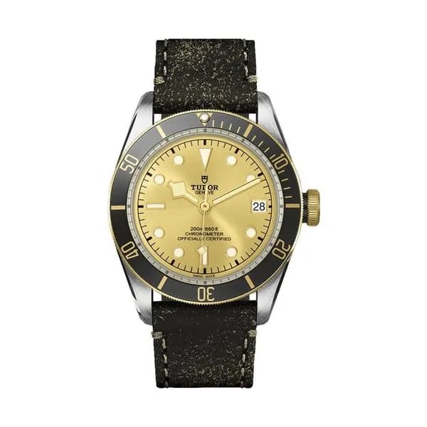 Tudor Black Bay S&G