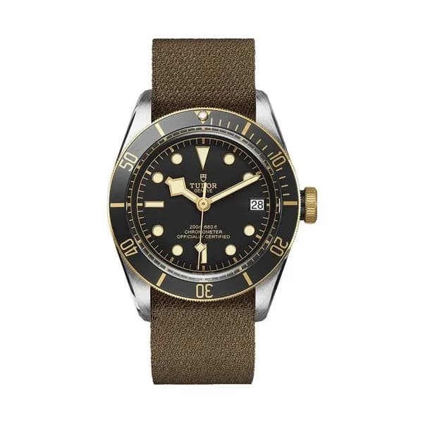 Tudor Black Bay S&G
