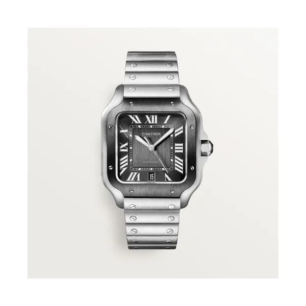 Cartier Montre Santos de Cartier