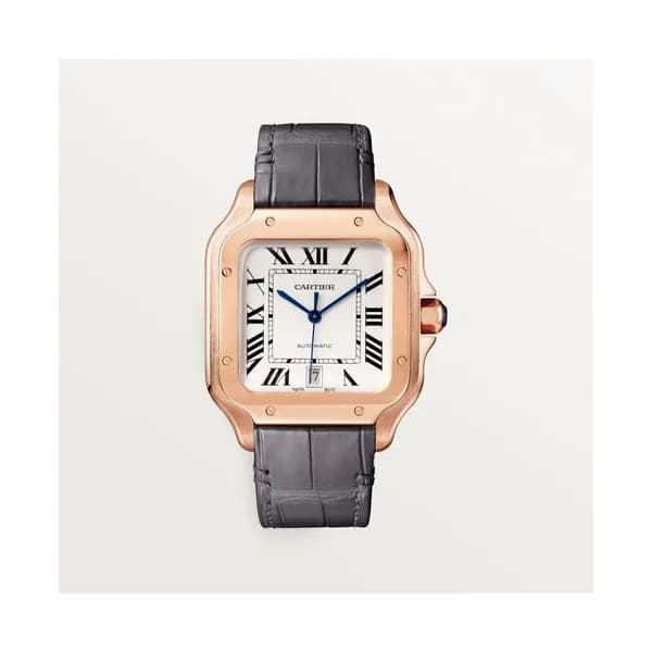 Cartier Montre Santos de Cartier