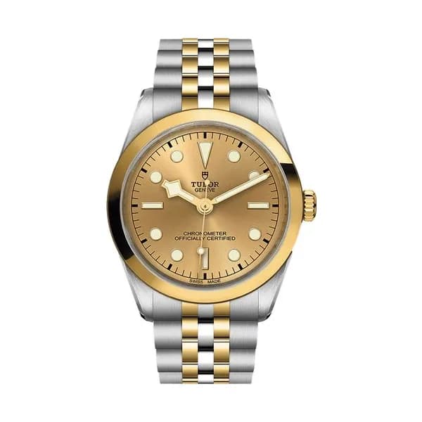 Tudor Black Bay One 36 S&G