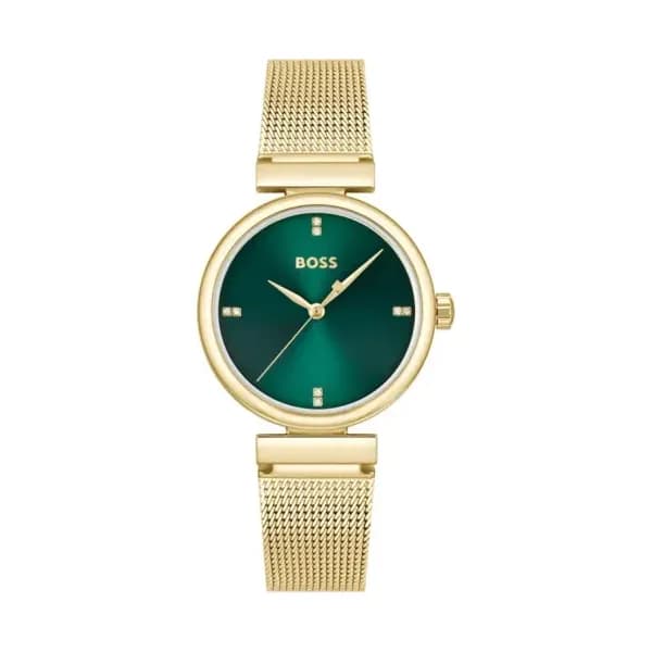 Hugo Boss Montre Rosehill 1502855