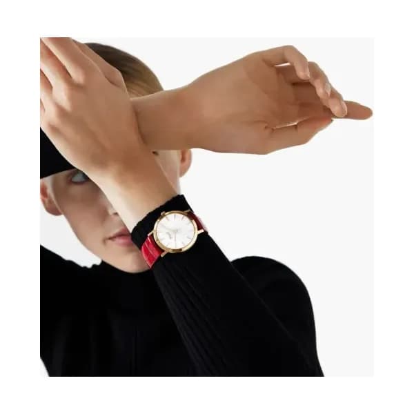 Piaget Montre Altiplano