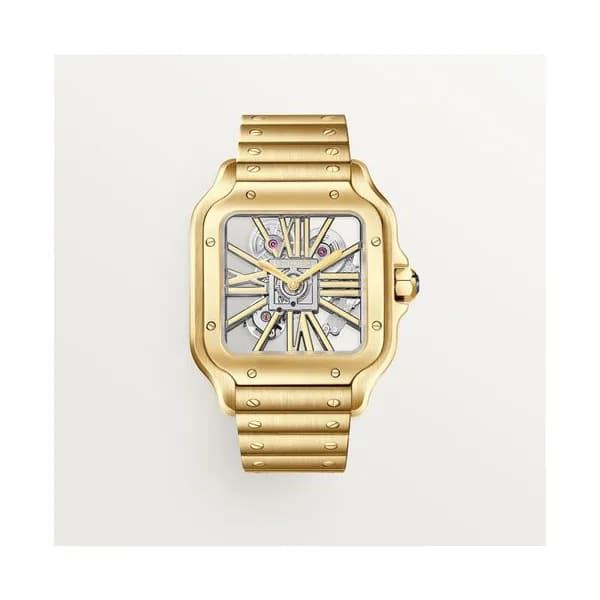 Cartier Montre Santos de Cartier