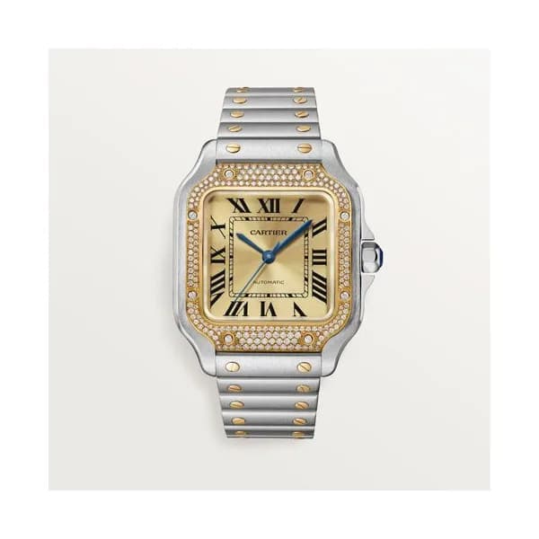 Cartier Montre Santos de Cartier