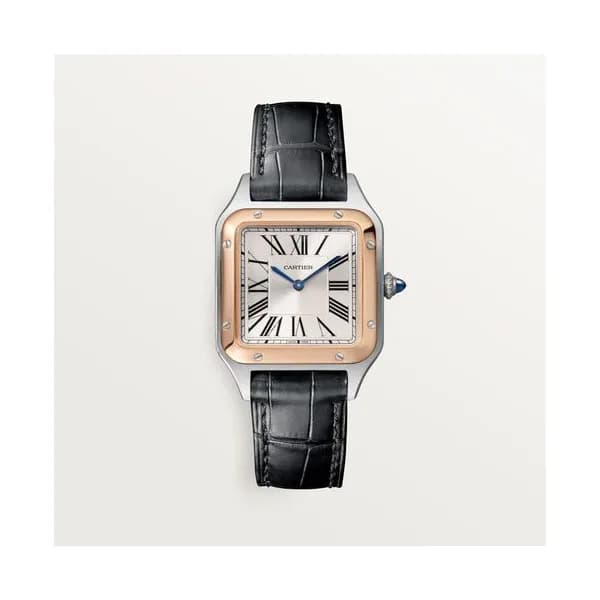Cartier Montre Santos-Dumont