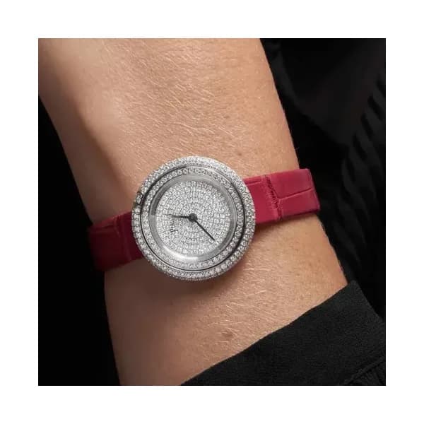 Piaget Montre Possession