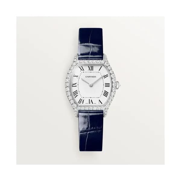 Cartier Montre Tortue