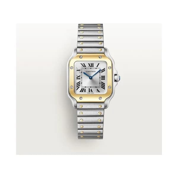 Cartier Montre Santos de Cartier