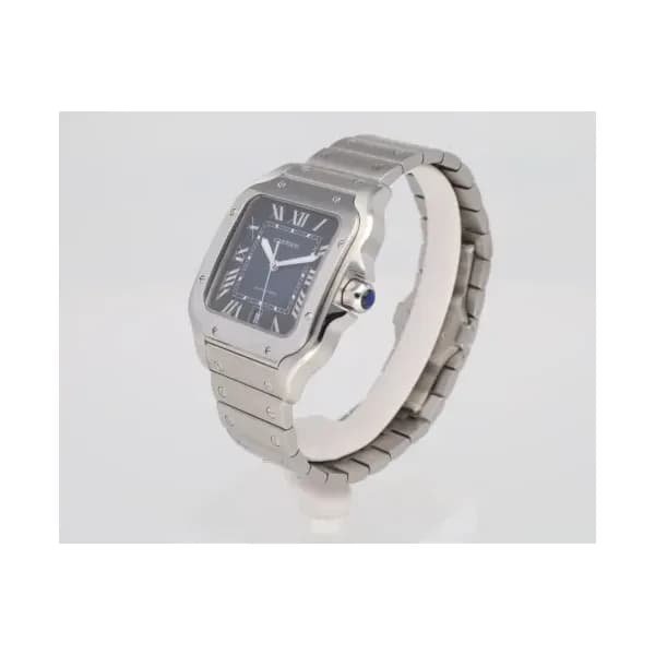 Cartier Cartier Santos de Cartier WSSA0030