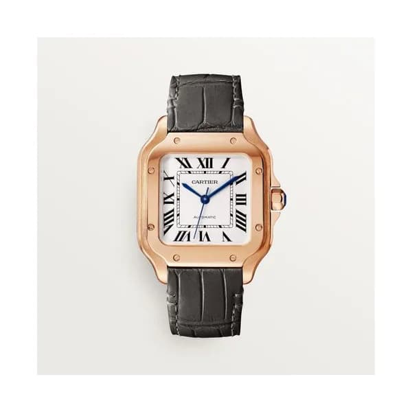 Cartier Montre Santos de Cartier