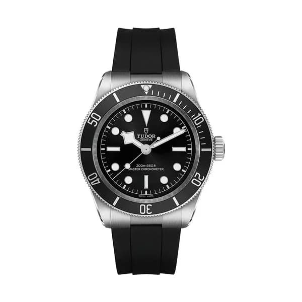 Tudor Black Bay