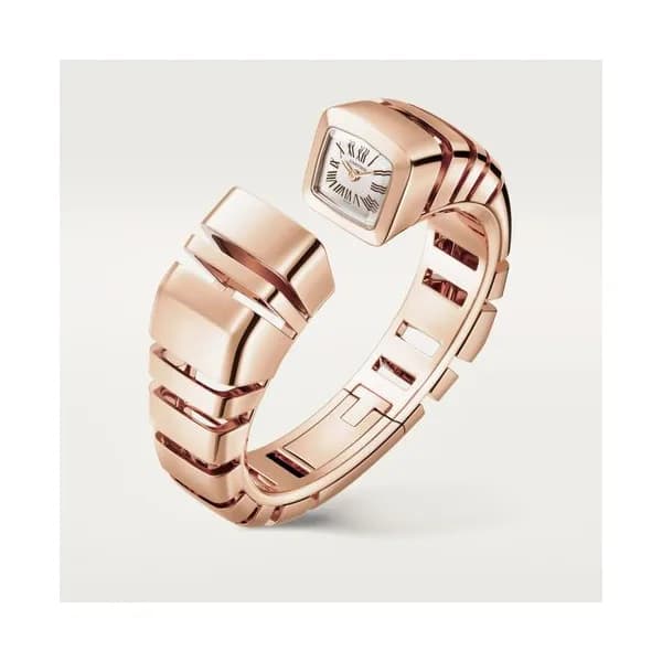 Cartier Montre Reflection de Cartier