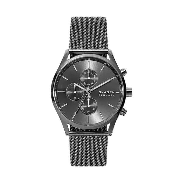Skagen Montre Skagen en Acier Gris