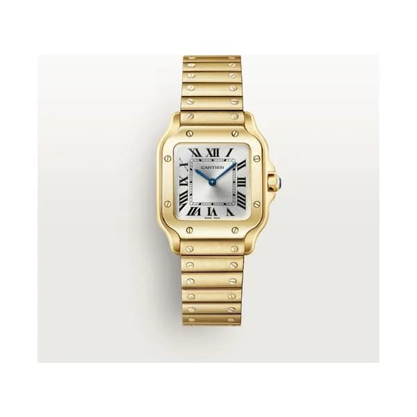 Cartier Montre Santos de Cartier