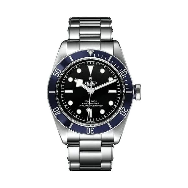 Tudor Black Bay