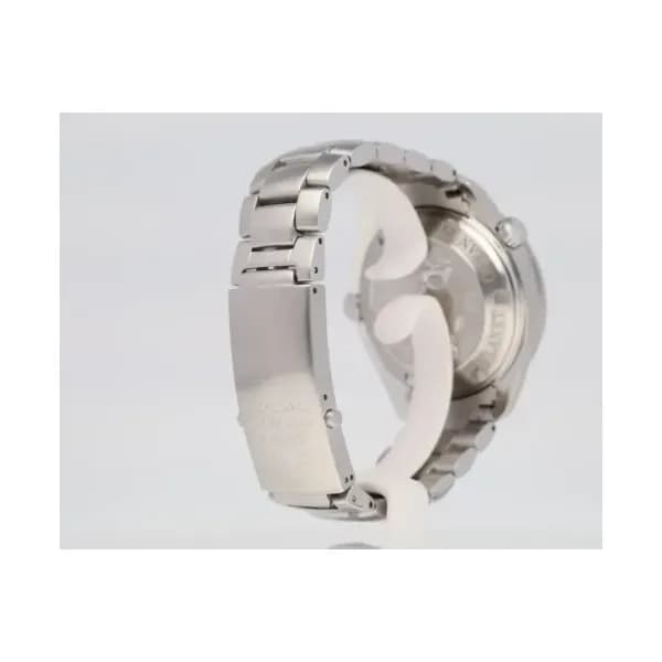 Omega Seamaster Planet Ocean 600