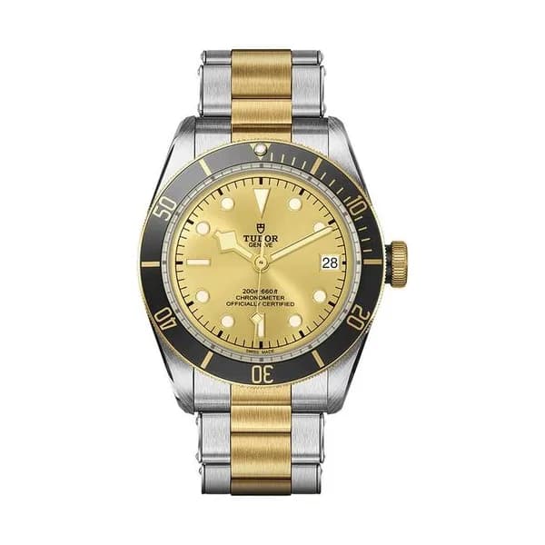 Tudor Black Bay S&G