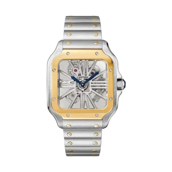 Cartier Montre Santos de Cartier
