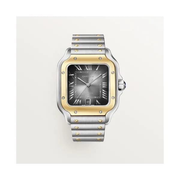 Cartier Montre Santos de Cartier