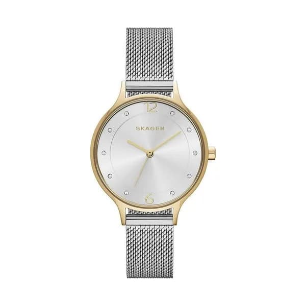 Skagen Montre Skagen en Acier Argenté