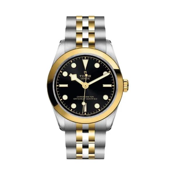 Tudor Black Bay One 31 S&G